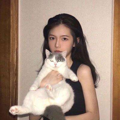 猪猪侠五灵战车手游下载
